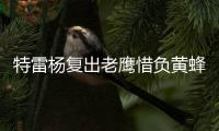特雷杨复出老鹰惜负黄蜂 骑士轻取灰熊止3连败