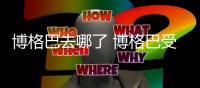 博格巴去哪了 博格巴受伤情况病情最新消息