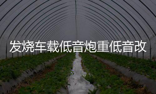 发烧车载低音炮重低音改装超薄座位下有源带功放蓝牙专用音响12v