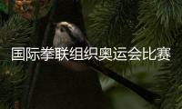国际拳联组织奥运会比赛资格被被提请取消