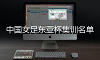 中国女足东亚杯集训名单出炉：王霜领衔 张琳艳在列