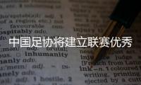 中国足协将建立联赛优秀中国籍球员技术档案库