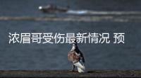 浓眉哥受伤最新情况 预计戴维斯将缺席两场比赛