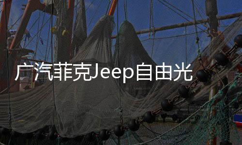 广汽菲克Jeep自由光吉普大切诺基原装电瓶汽车80AH瓦尔塔蓄电池