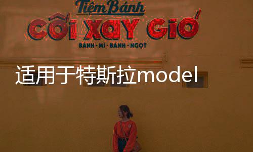 适用于特斯拉modely座椅套model3汽车坐垫座垫四季通用丫改装配件