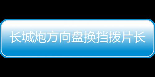 长城炮方向盘换挡拨片长城炮皮卡内饰装饰金属改装配件多色可选