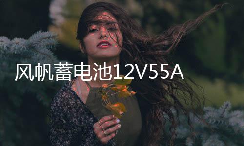风帆蓄电池12V55AH东风风神AX3传祺GS4GA3/GS3吉利自由舰汽车电瓶