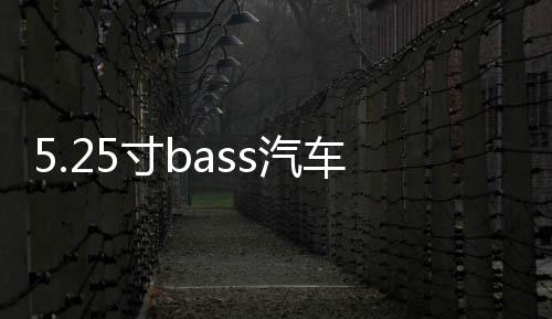 5.25寸bass汽车同轴喇叭BA-137D车载音响通用改装发烧HIFI扬声器