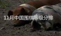 11月中国围棋等级分排名：丁浩继续领跑 柯洁第五